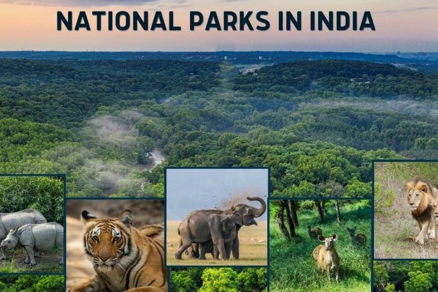 National Parks Of India Examrewards