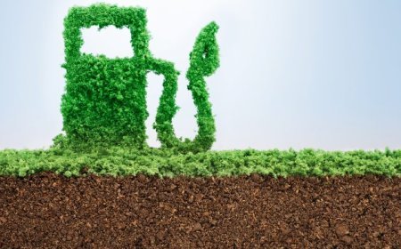 भविष्य की दिशा: सतत ईंधन का वादा