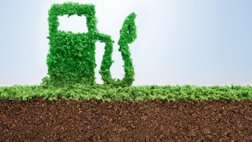 Navigating the Future: The Promise of Sustainable Fuels