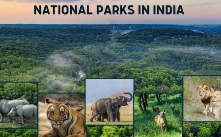 भारत के राष्ट्रीय उद्यान