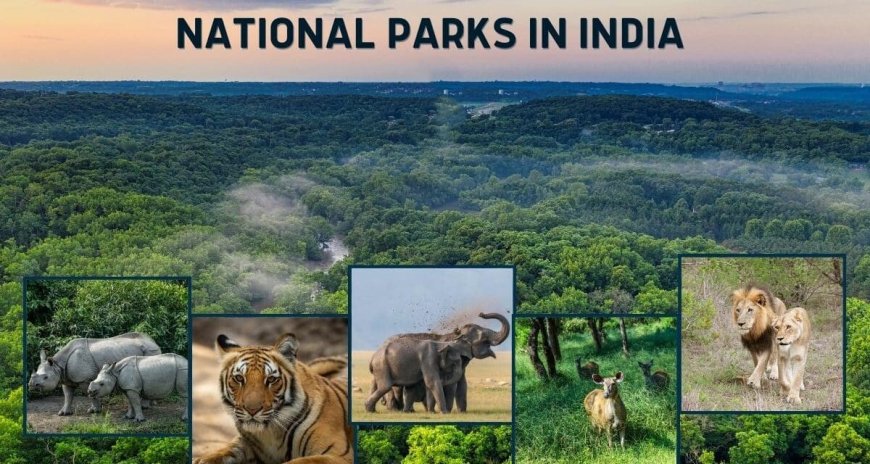 भारत के राष्ट्रीय उद्यान