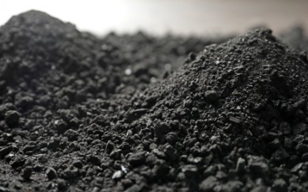 Mineral Resources in India